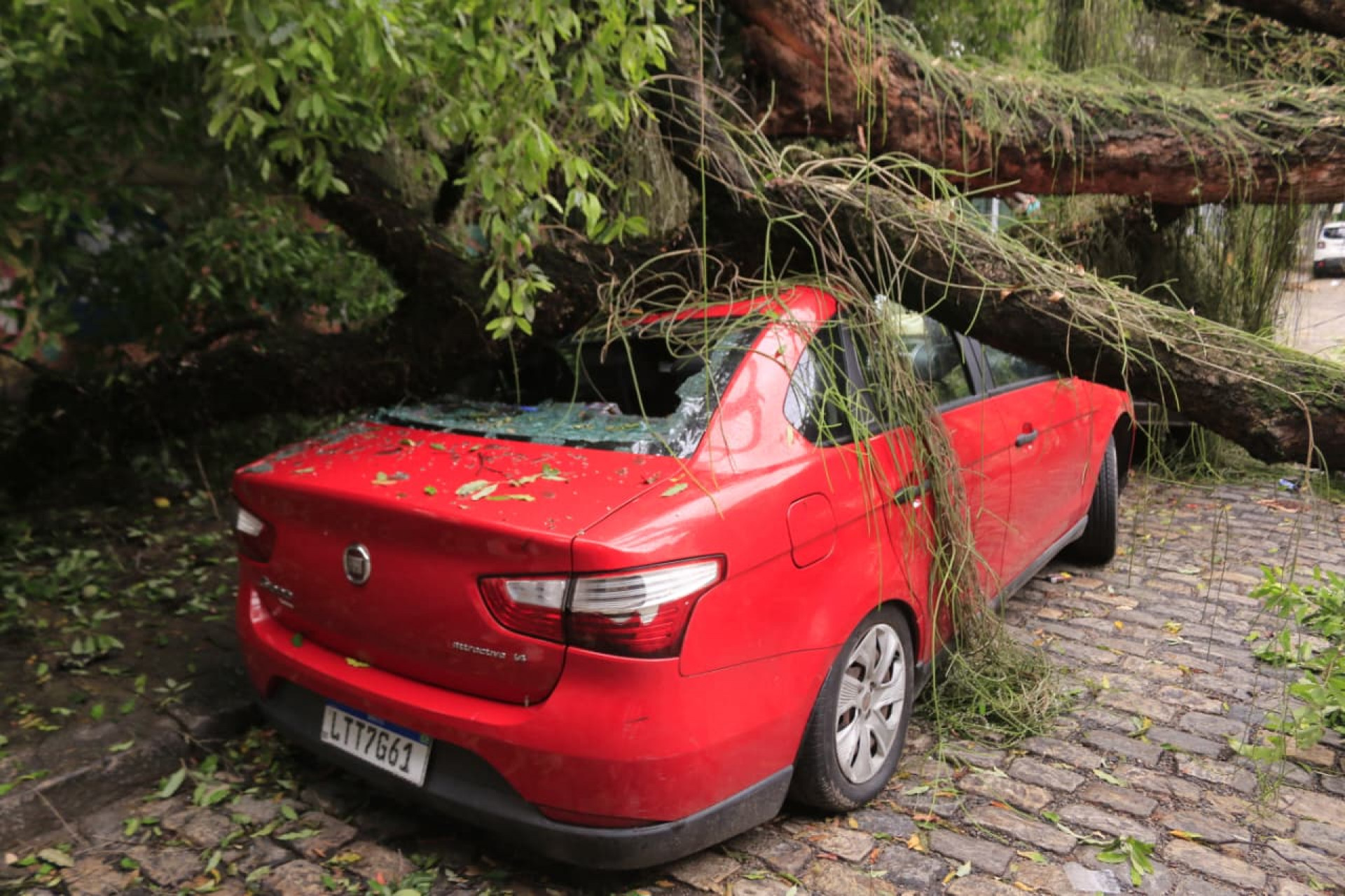 Árvore caiu na Rua Sílvio Romero e atingiu carros estacionados - Carlos Eliais/Agência O DIA