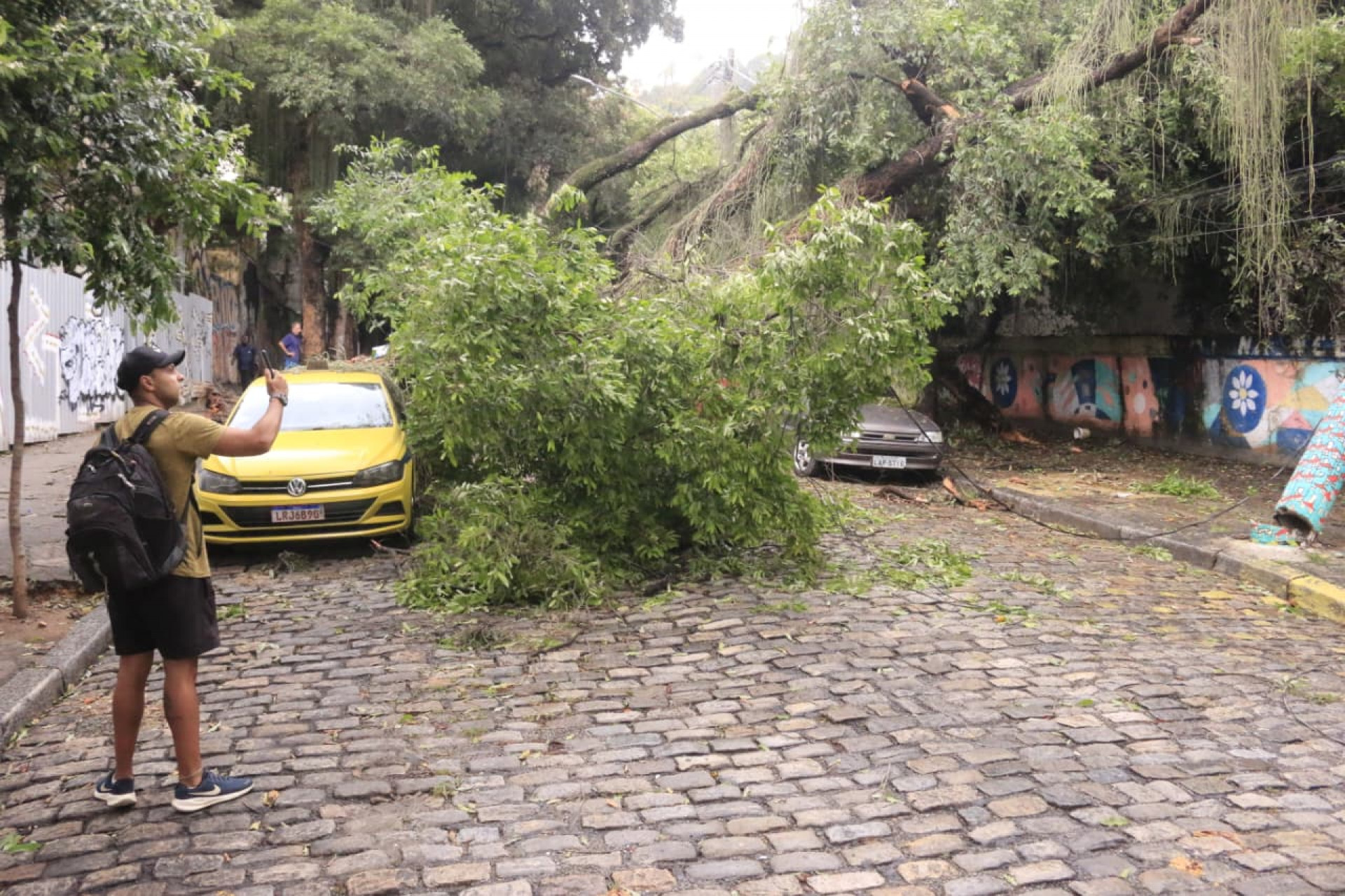 Árvore caiu na Rua Sílvio Romero e atingiu carros estacionados - Carlos Eliais/Agência O DIA