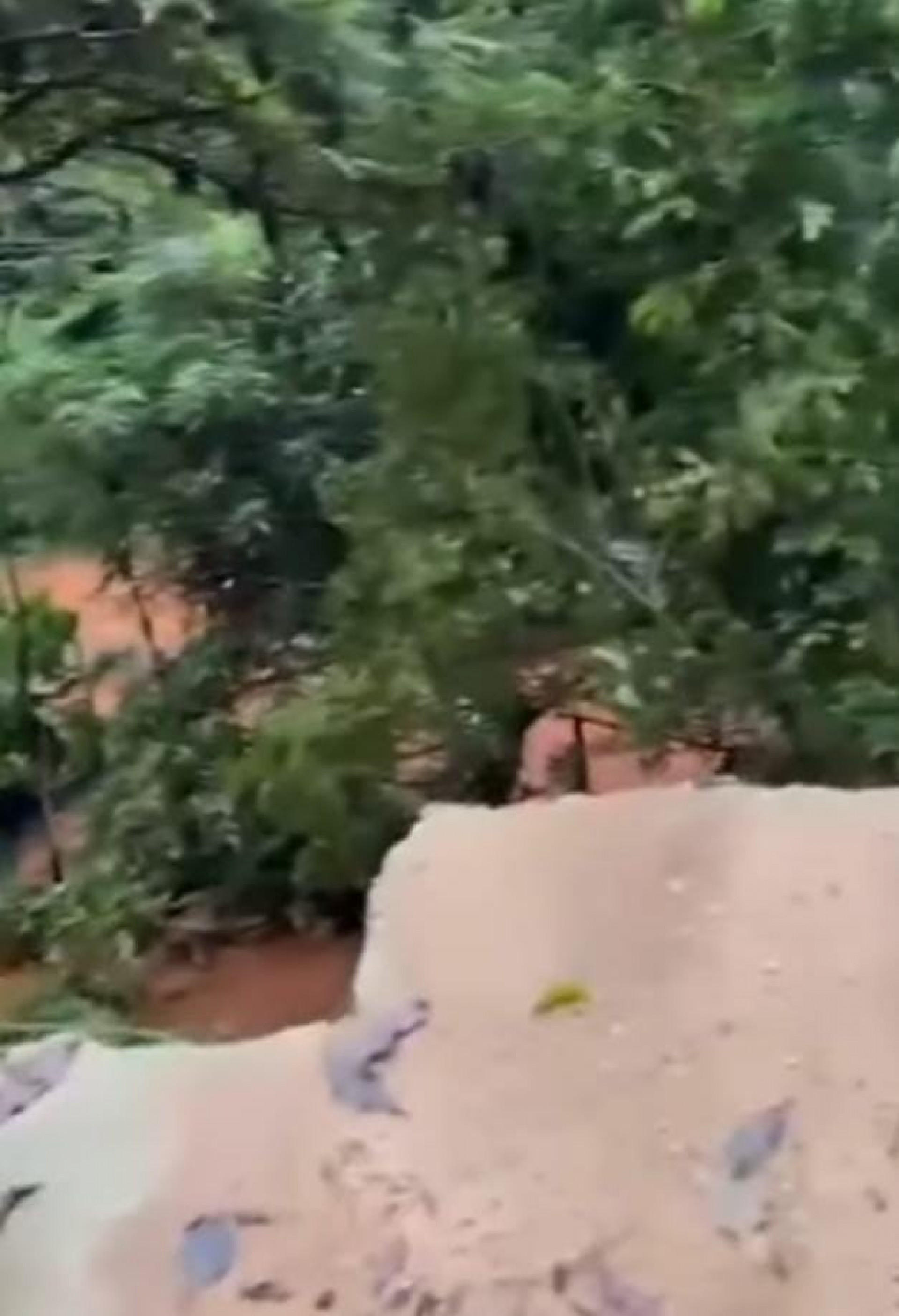 Deslizamento de terra em outro ponto da Rio-Santos Sapinhatuba 1 - Divulga&ccedil;&atilde;o