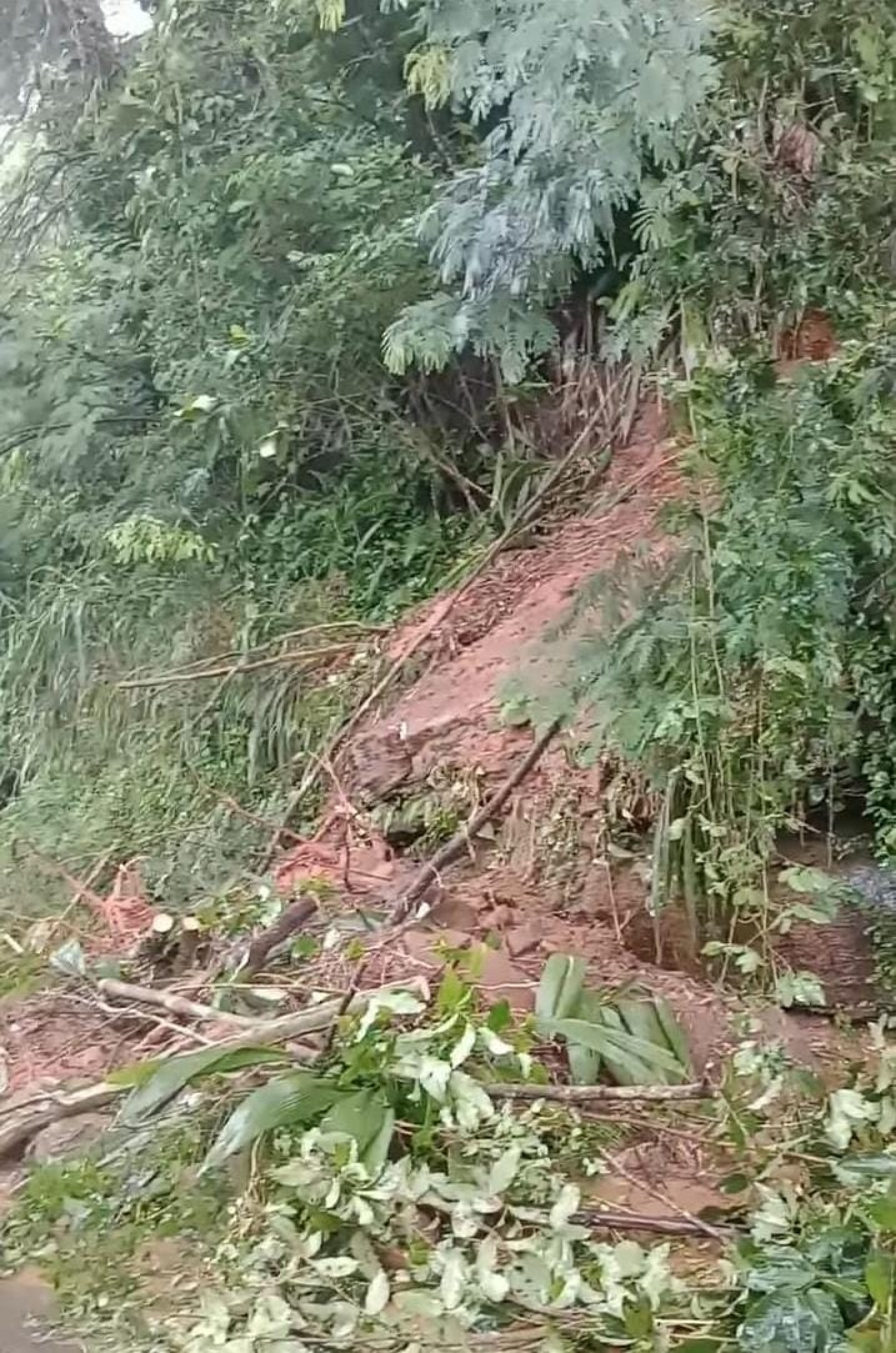 Deslizamento na comunidade do Ibicu&iacute; - Divulga&ccedil;&atilde;o