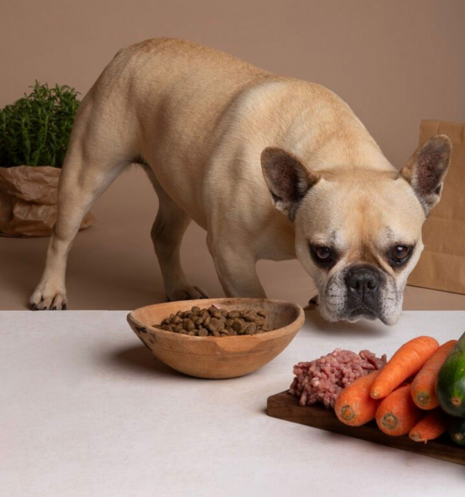 Alimentação natural pode contribuir para melhor digestão, mais disposição e manutenção da massa muscular