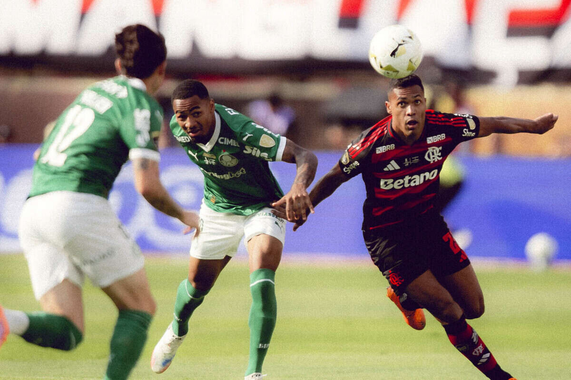 Diretora da Conmebol fala sobre dom&iacute;nio brasileiro na Libertadores: “N&atilde;o gosto”