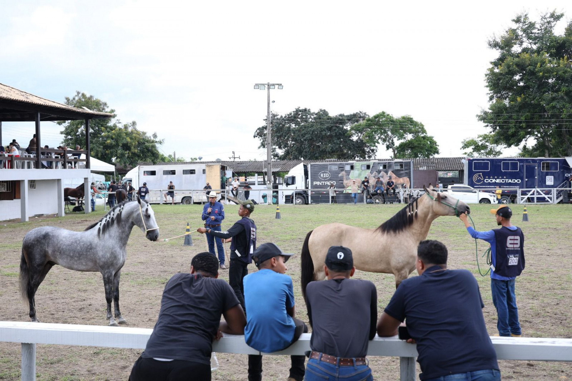 41ª Expo Mangalarga Marchador - Ascom
