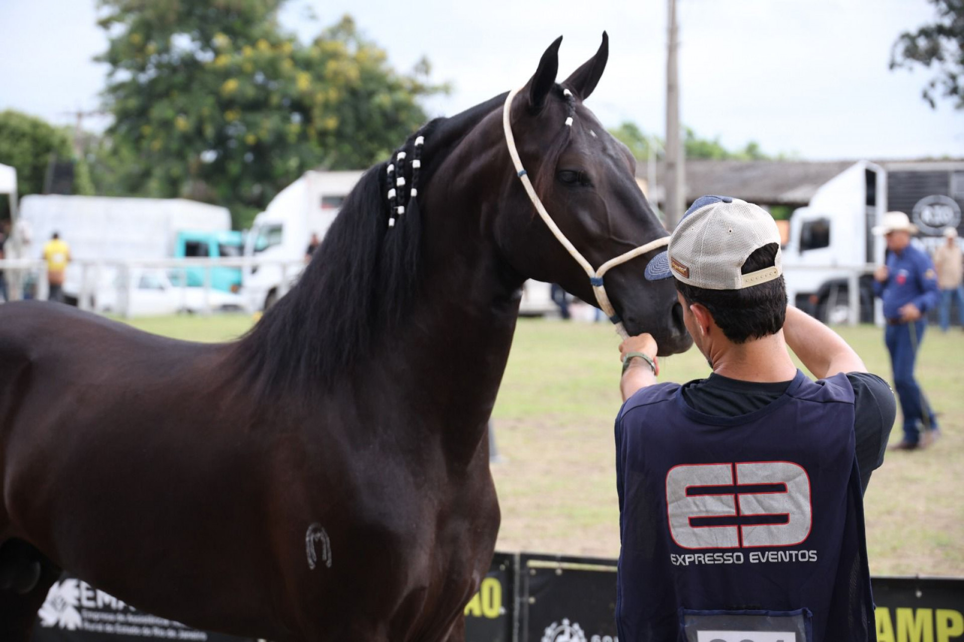 41ª Expo Mangalarga Marchador - Ascom