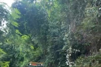 Deslizamento de barreira atinge Estrada das Paineiras, em Santa Teresa