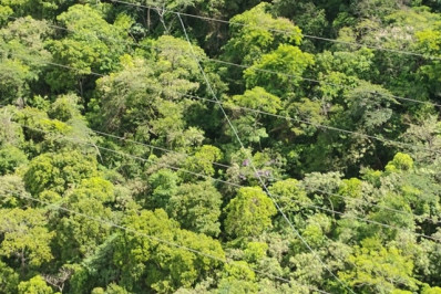 Linha de pipa com cerol atinge fiação e deixa 190 mil sem luz nas zonas Sul e Sudoeste