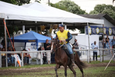 Expo de Mangalarga Marchador movimenta Araruama e reúne mais de 240 animais