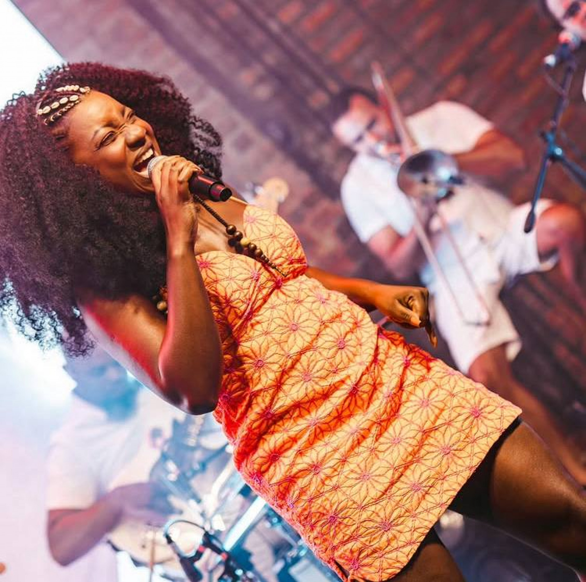 Sambista Adriana Araújo está internada em estado gravíssimo após sofrer um aneurisma cerebral  - Reprodução/ redes sociais