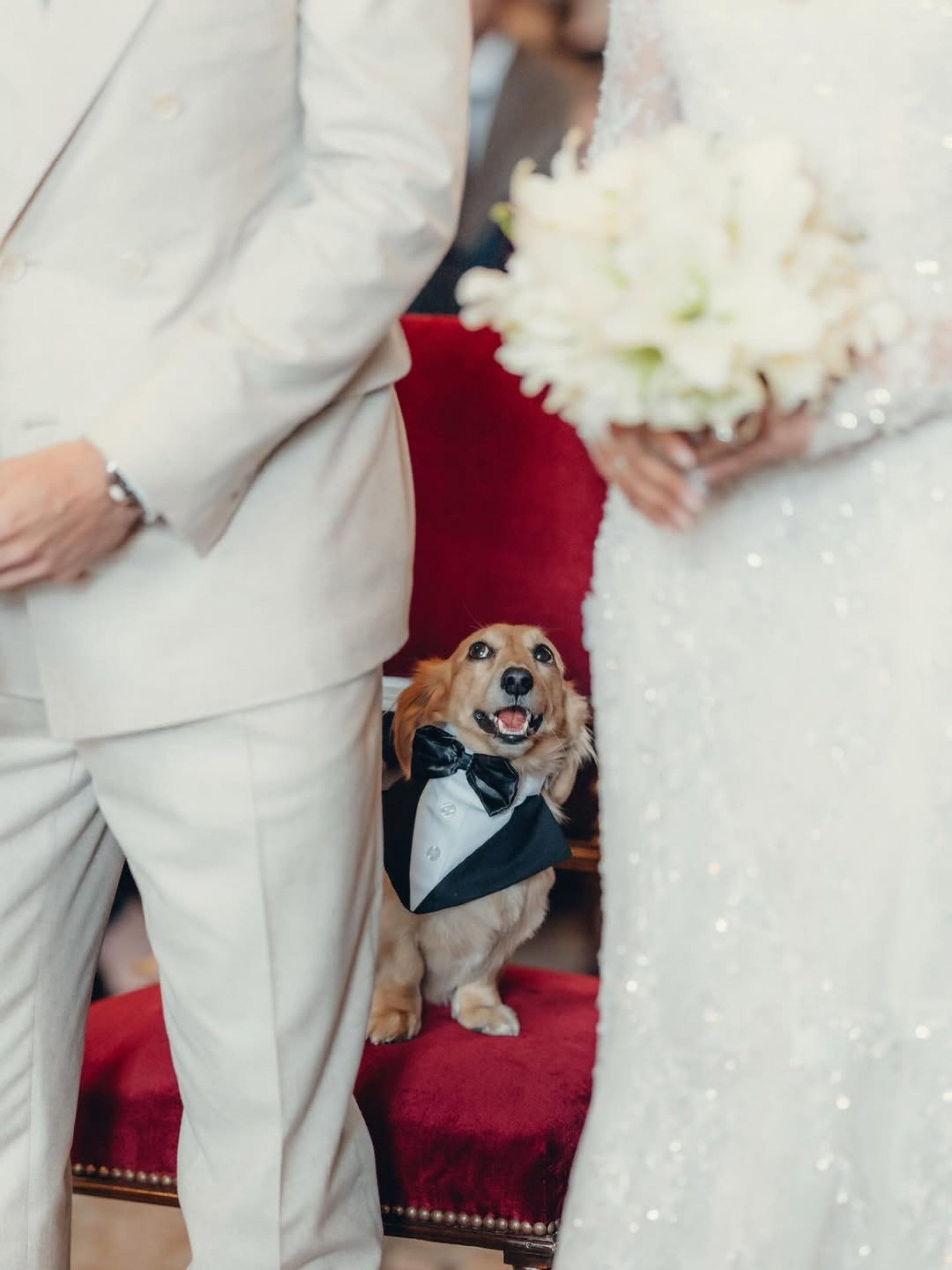 Charles Leclerc se casa no civil com Alexandra Saint Mleux em Mônaco - Reprodução / Instagram