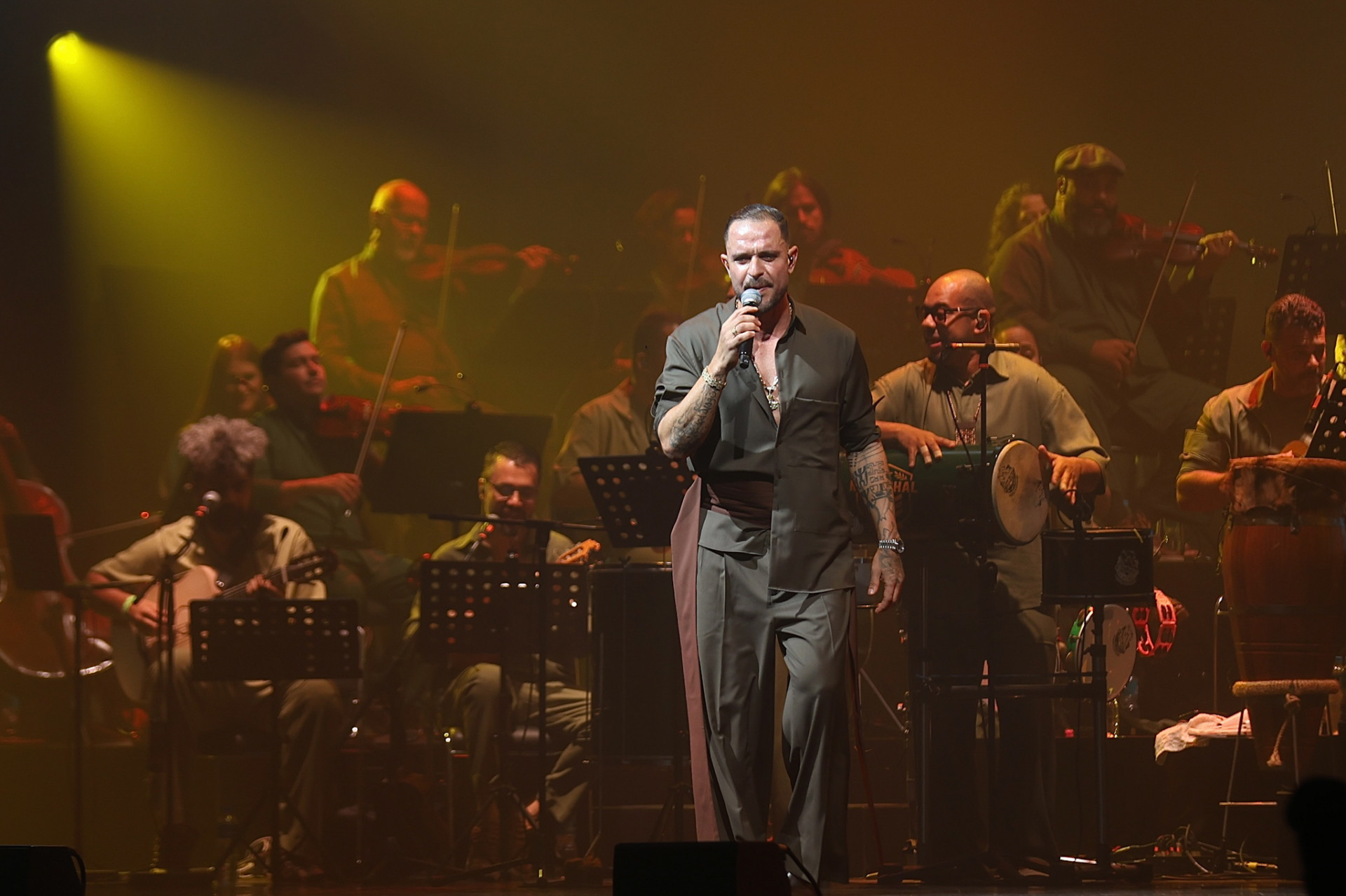 Diogo Nogueira durante show no Rio - Roberto Filho / Brazil News