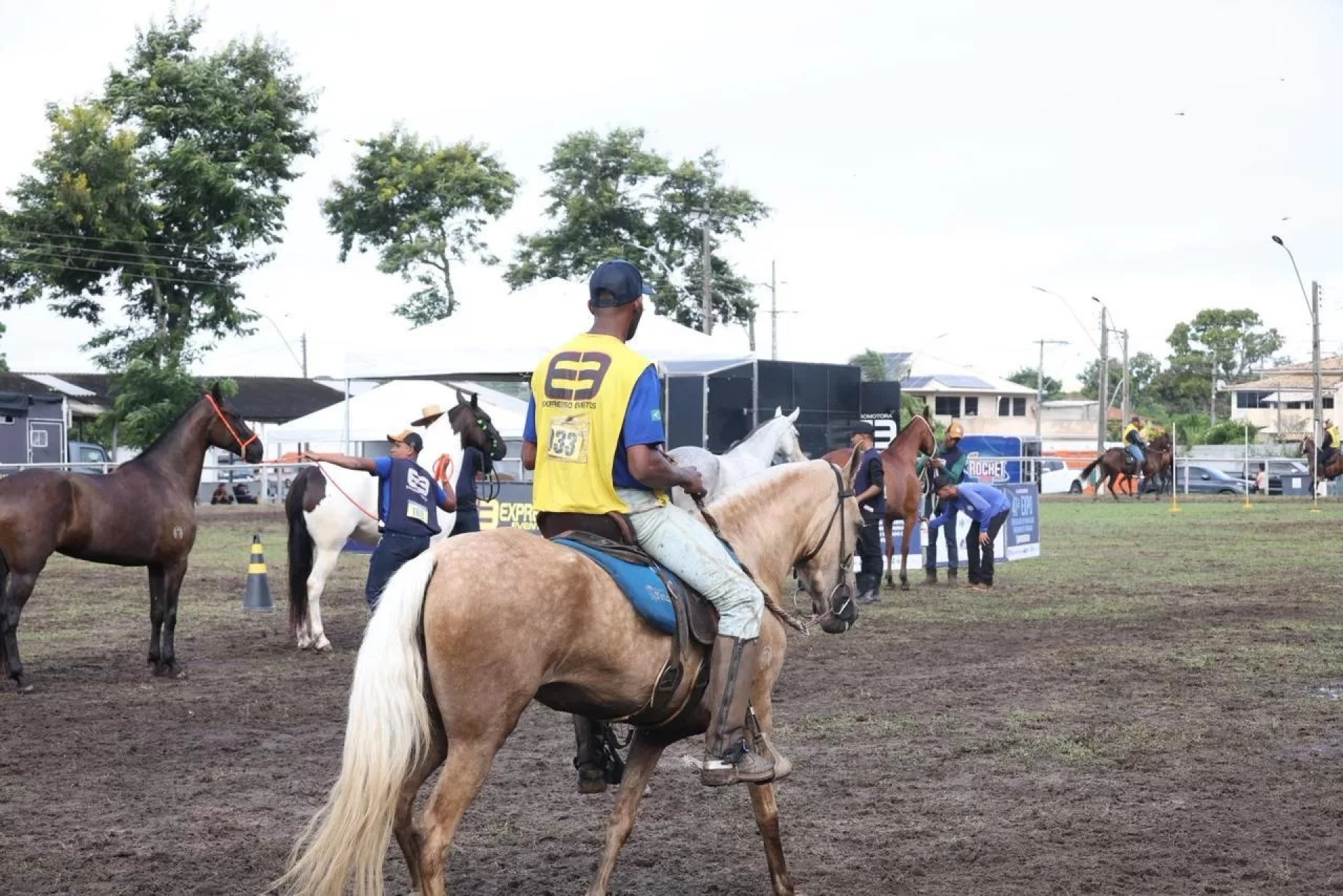 Expo de Mangalarga Marchador - Ascom