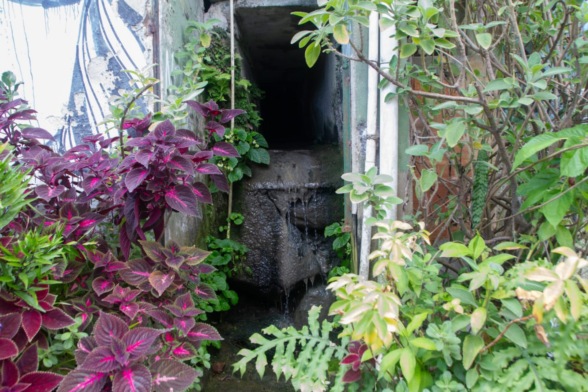 Segundo moradores, pedreira está causando infiltração e rochas estão se soltando - Érica Martin / Agência O Dia