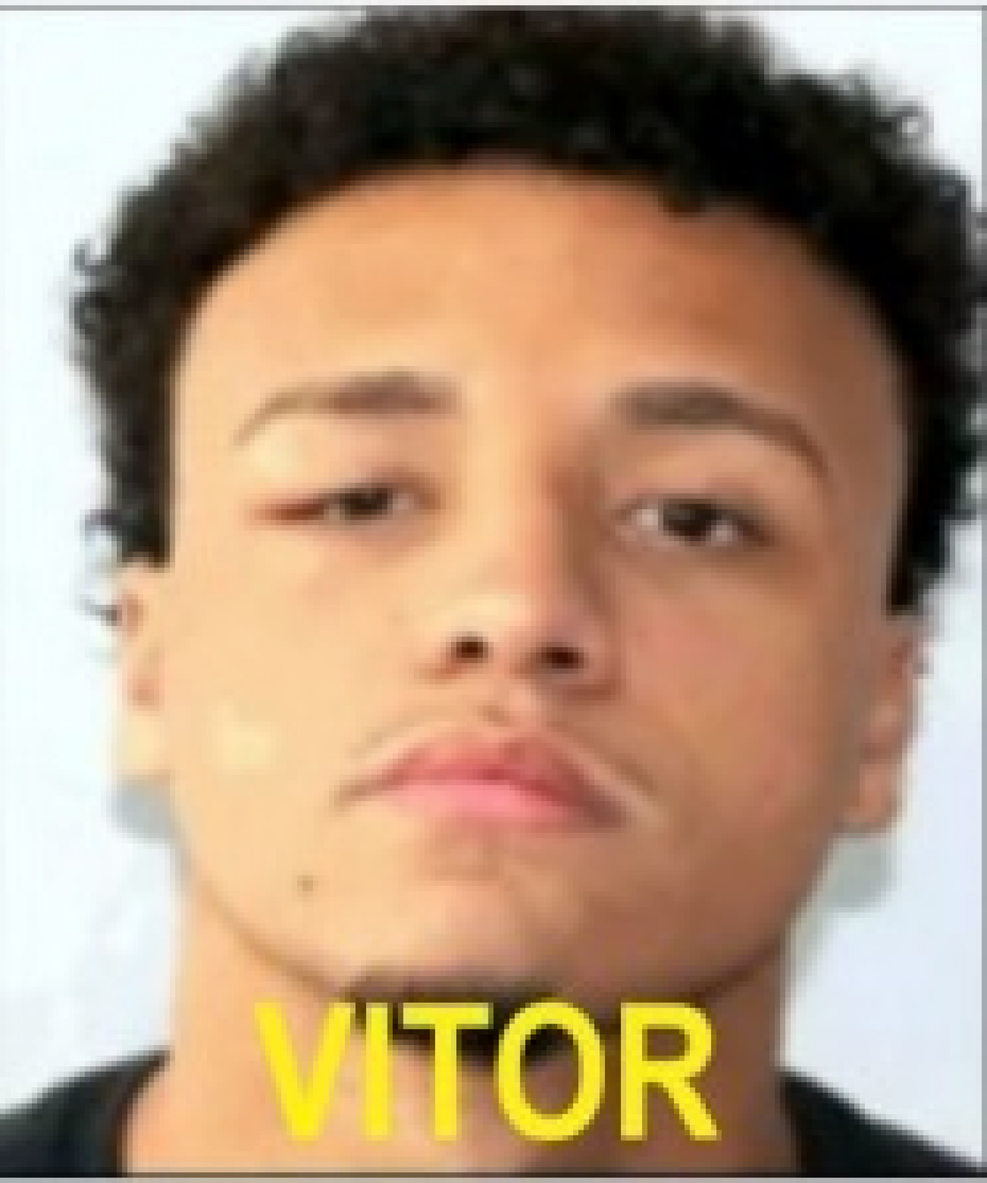 Vitor Hugo Oliveira Simonin, de 18 anos, é investigado pelo crime
