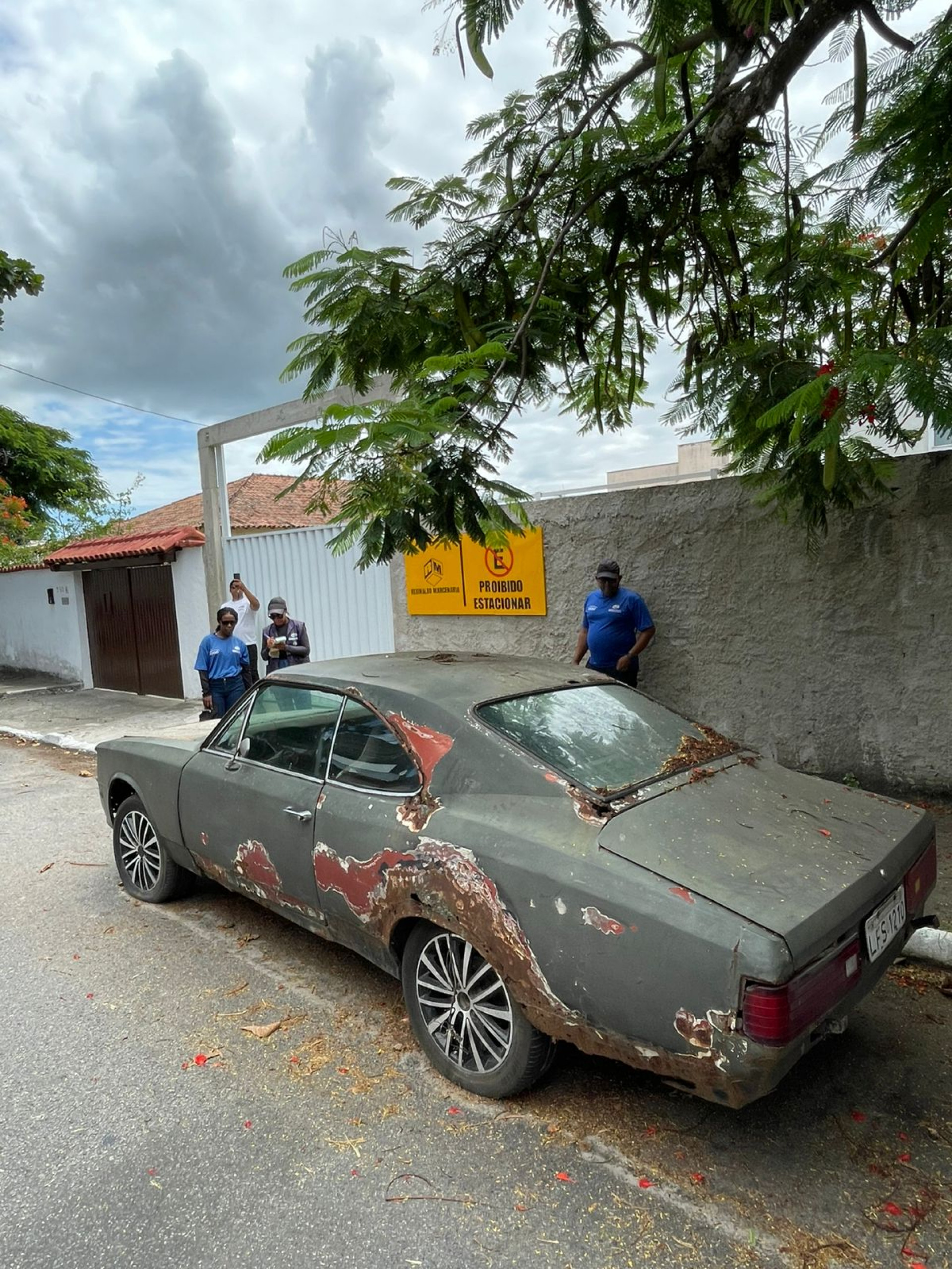 Nesta fase da operação, as equipes estiveram nos bairros Palmeiras, Parque Burle e Jardim Olinda - Ascom