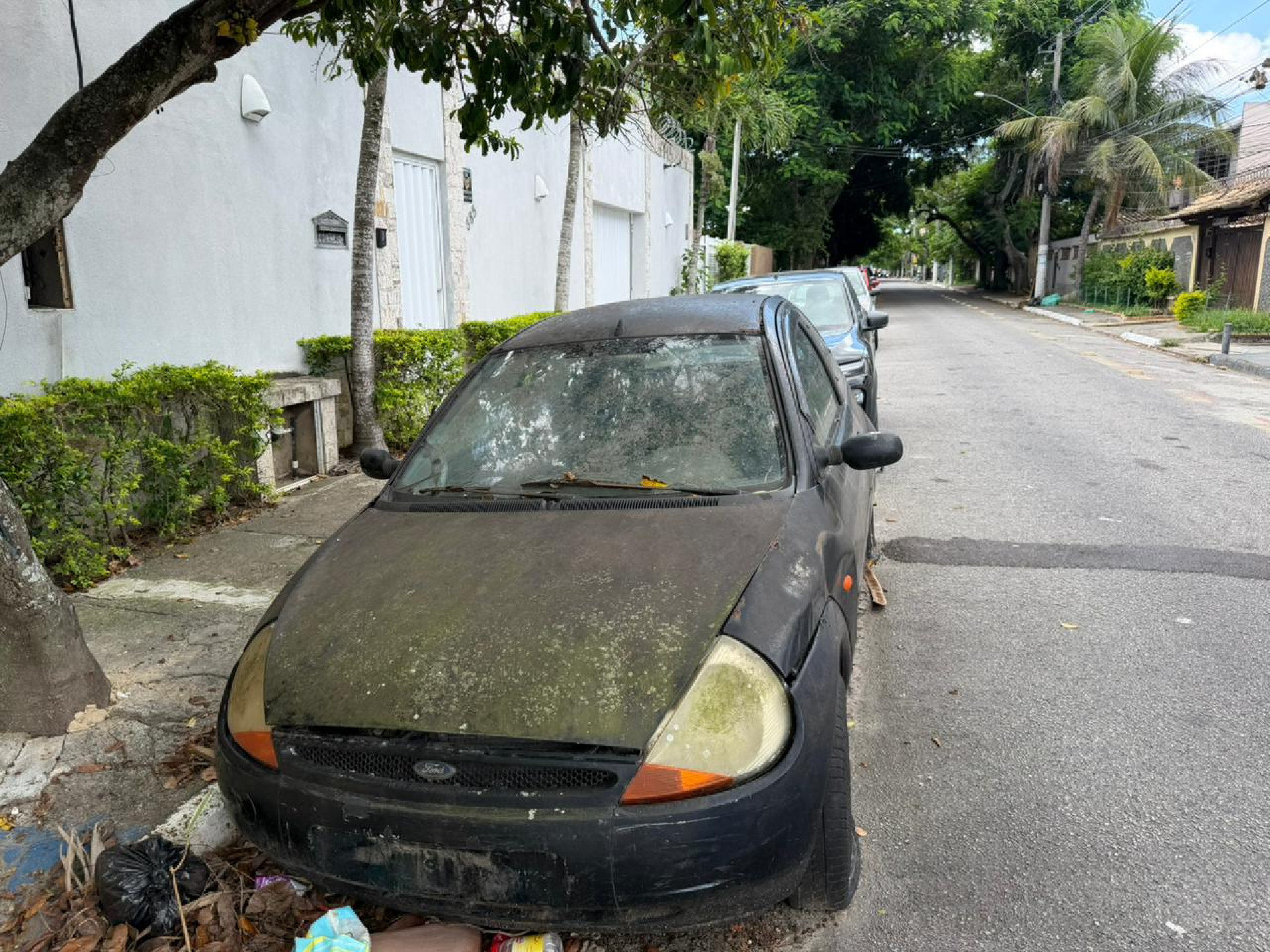 Nesta fase da operação, as equipes estiveram nos bairros Palmeiras, Parque Burle e Jardim Olinda - Ascom