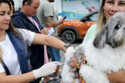 Ilha Grande recebe campanha de vacinação