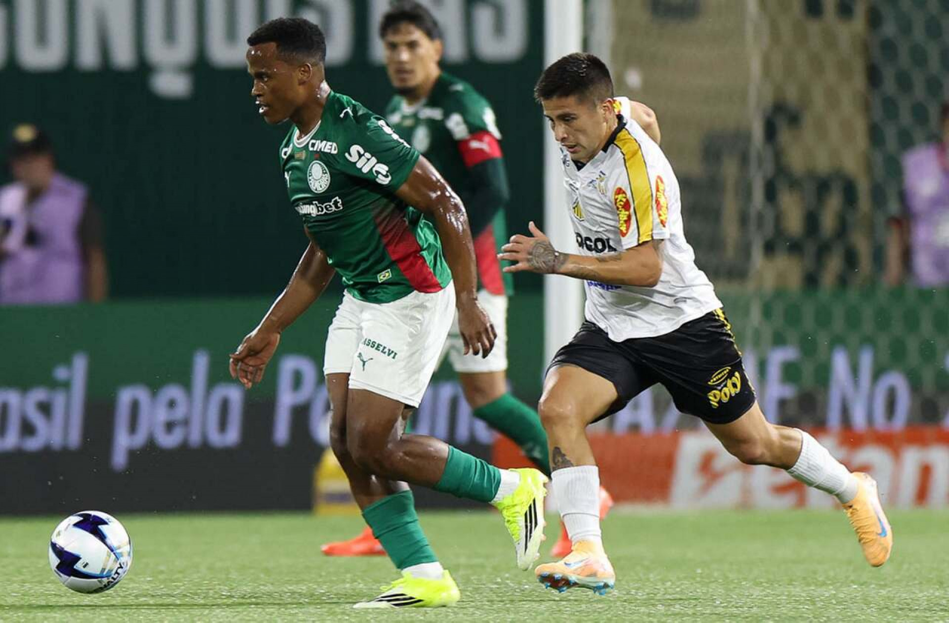 Aproveitamento de Arias gera debate sobre crit&eacute;rios de Abel Ferreira no Palmeiras