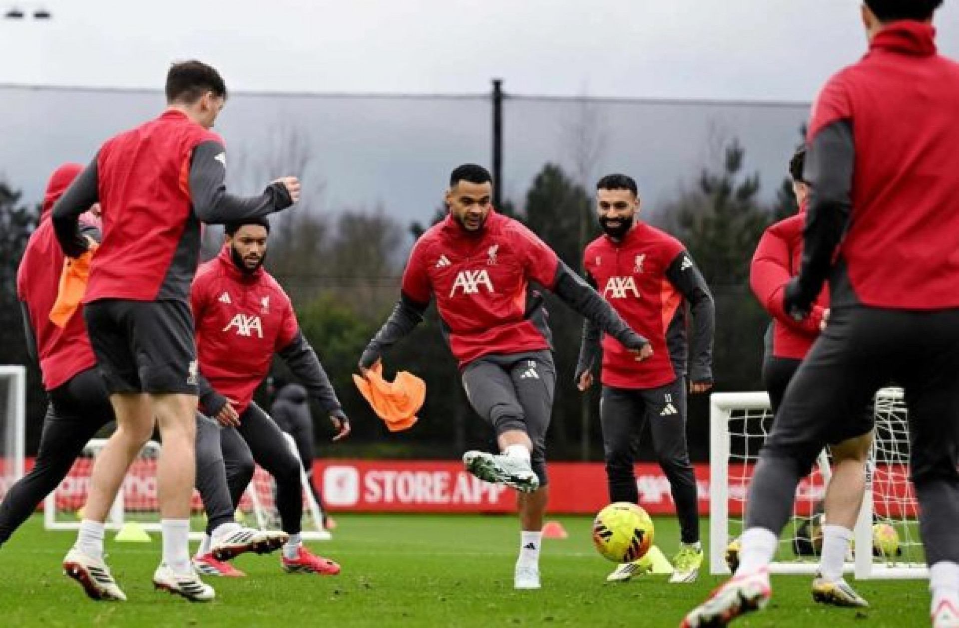 Wolverhampton x Liverpool: onde assistir, escala&ccedil;&otilde;es e arbitragem