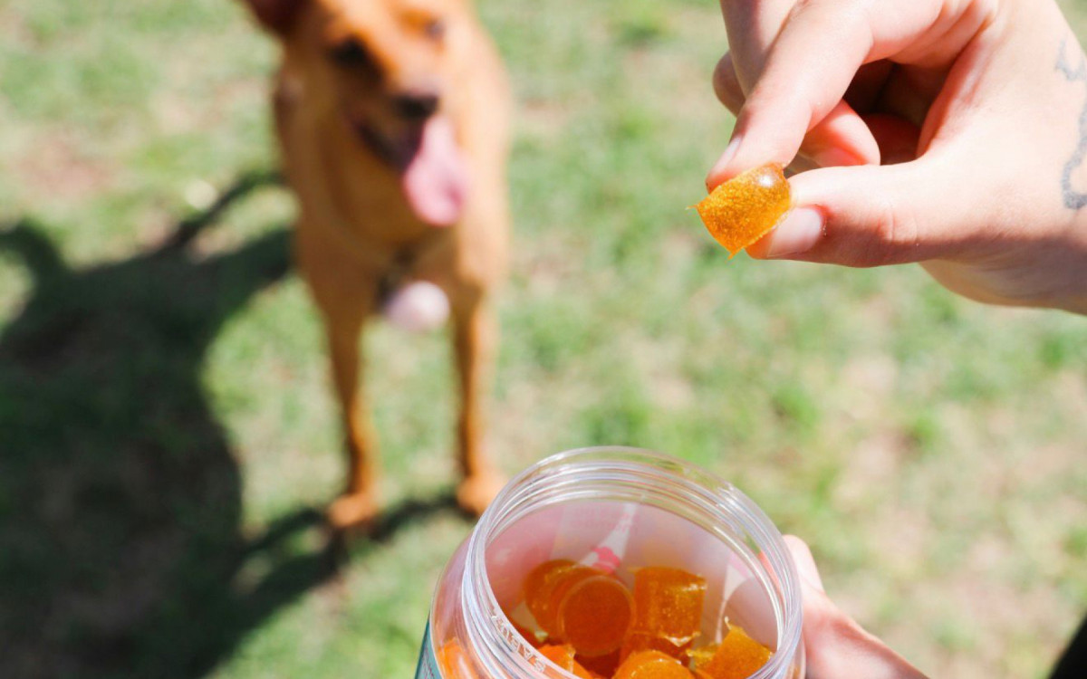 Dificuldade na administração contribui para atrasos no tratamento