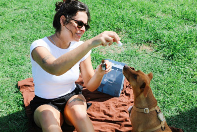 Dar remédio para o pet não precisa ser uma batalha: personalização facilita tratamentos e melhora adesão terapêutica