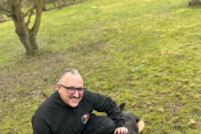 Quando o treinamento dá certo, ninguém percebe o perigo