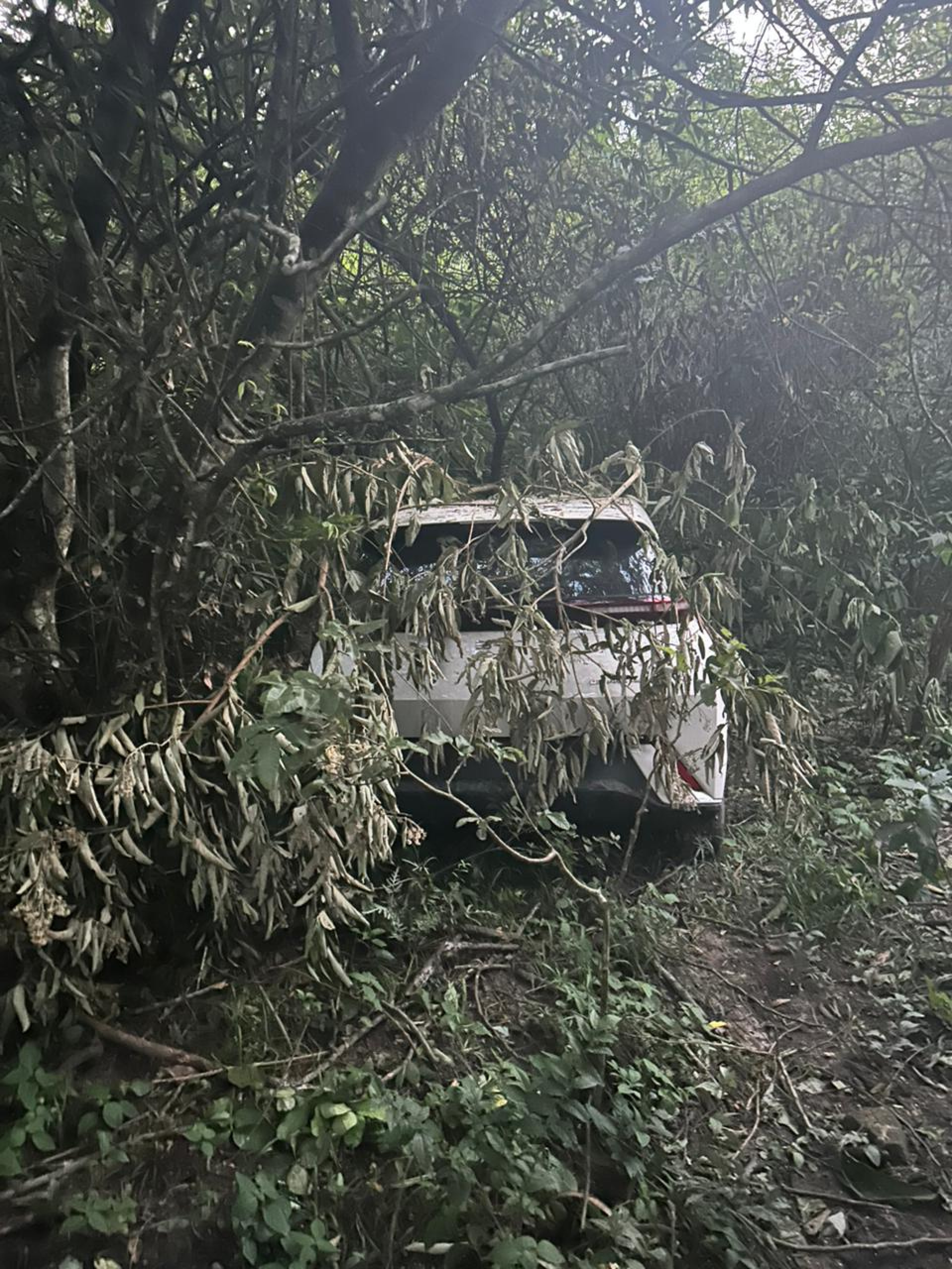 Carro elétrico roubado foi encontrado em uma área de mata, dentro da comunidade Vai Quem Quer - Divulgação / Polícia Civil