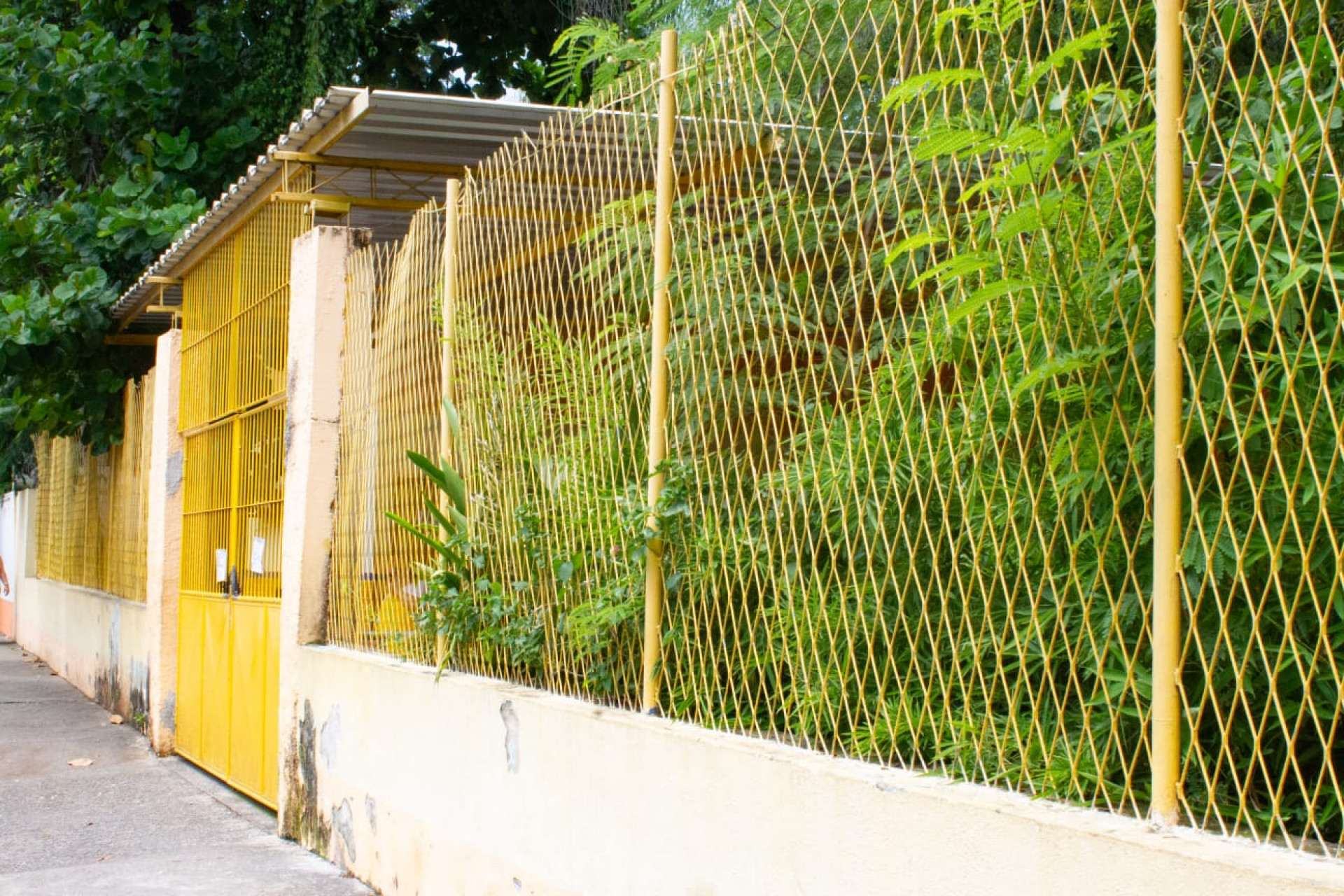 Caso teria ocorrido na Escola Municipal Mestra Fininha - Érica Martin / Agência O Dia