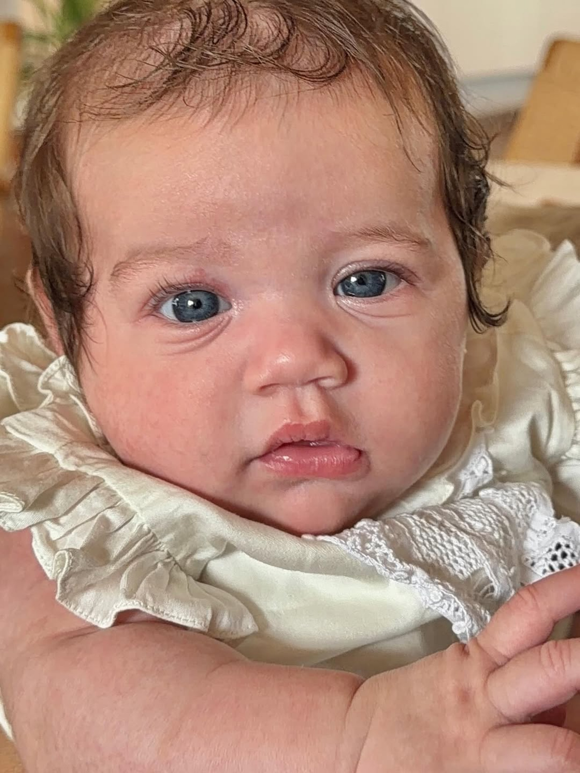 Rafa Kalimann celebra dois meses da filha com Nattan com piquenique - Reprodução / Instagram