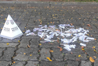 Operação conjunta surpreende suspeitos e apreende grande quantidade de drogas em Casimiro