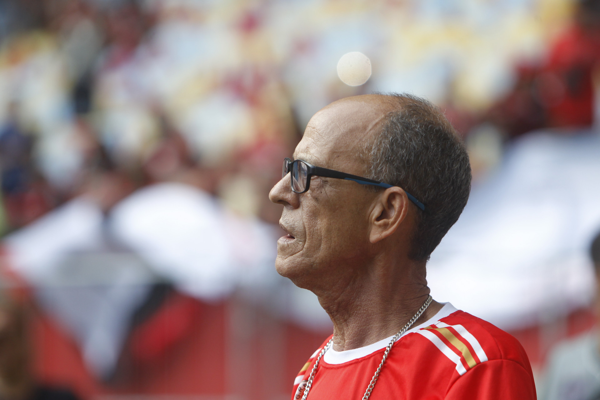 Mestre Ci&ccedil;a foi o enredo da Viradouro, campe&atilde; do carnaval do Rio em 2026 - Reginaldo Pimenta / Ag&ecirc;ncia O Dia