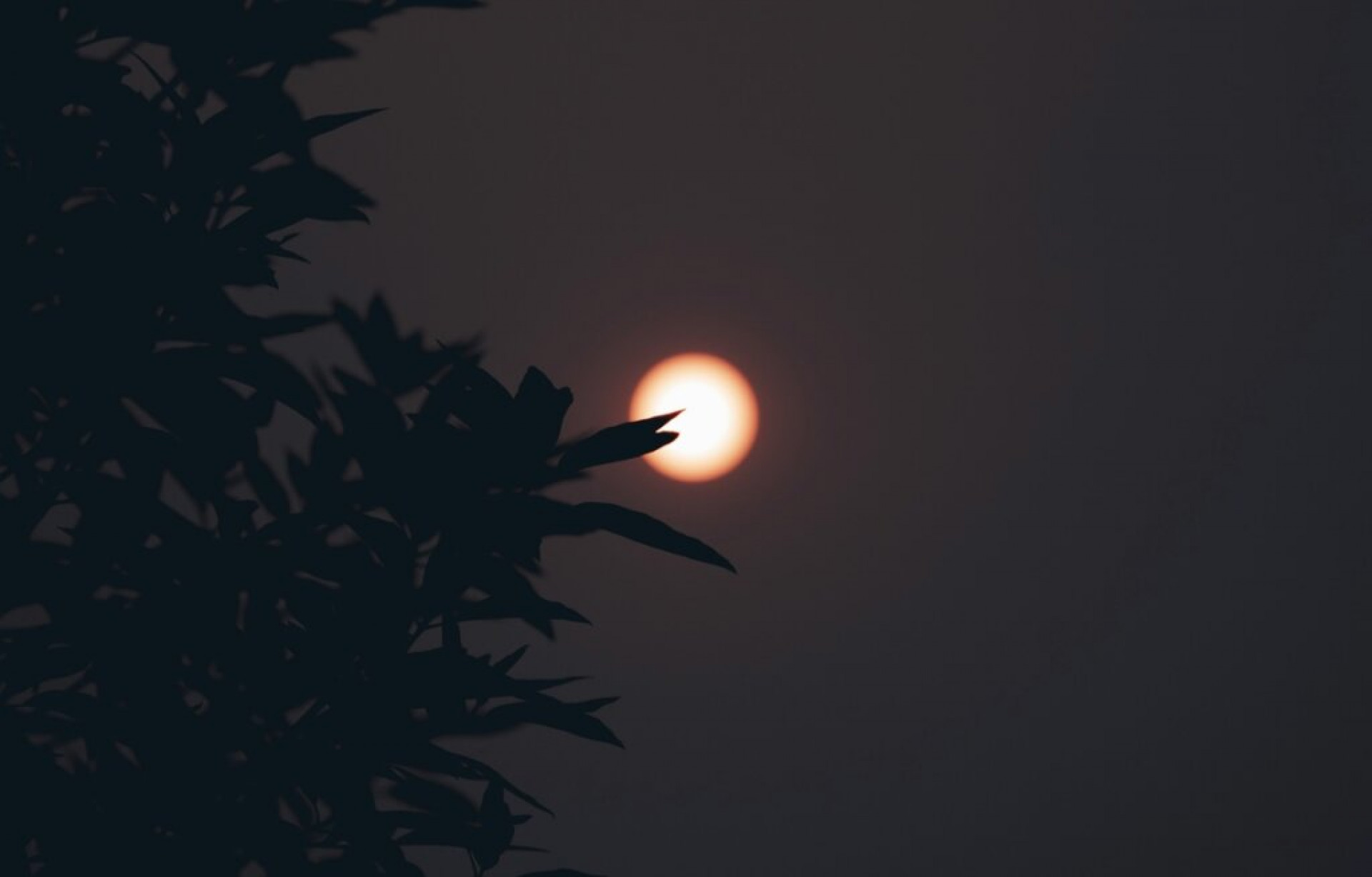 Ressaca p&oacute;s-eclipse: como lidar com o cansa&ccedil;o e a sensibilidade?