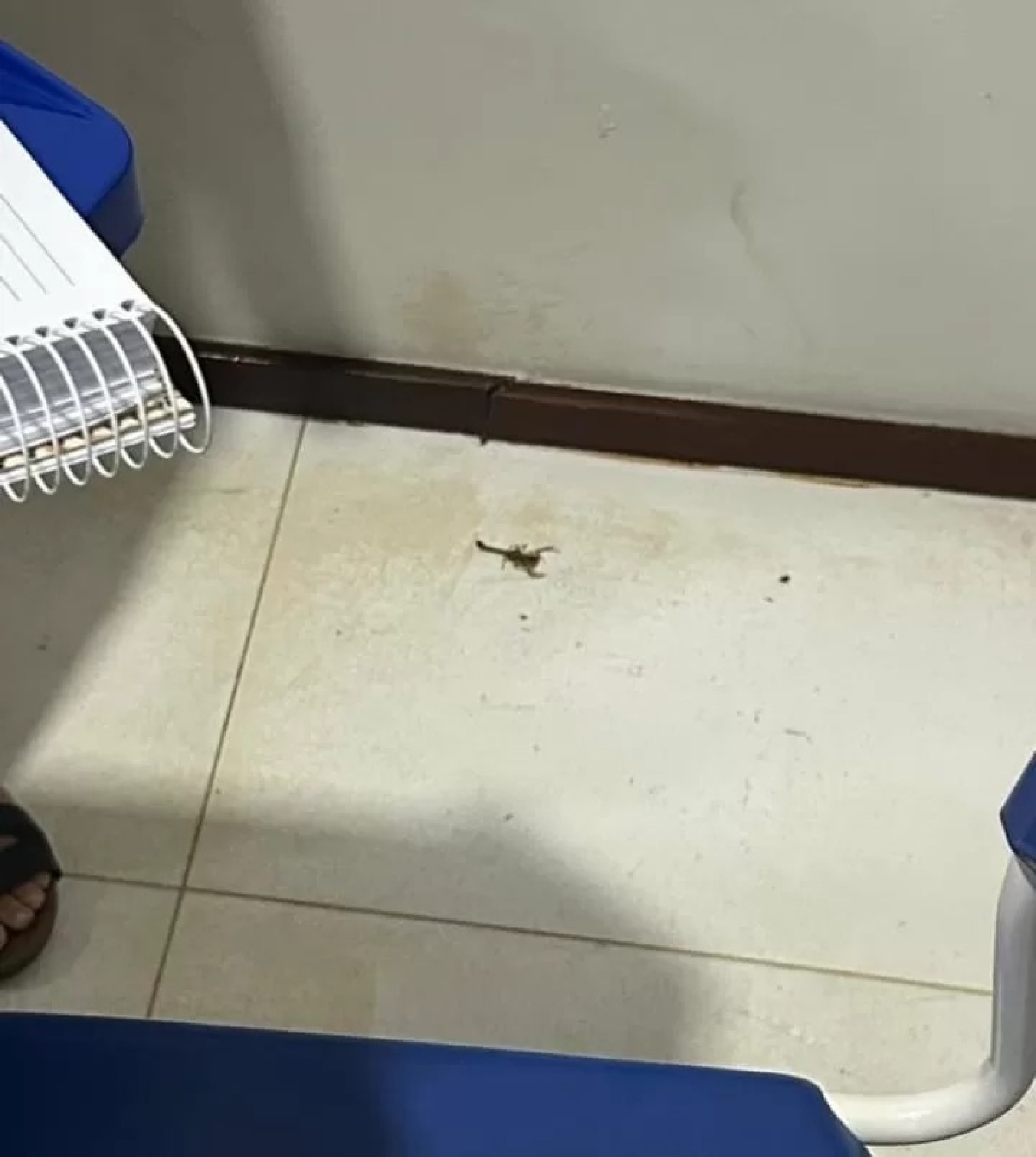 O caso gerou questionamentos sobre a segurança no ambiente escolar.  - Reprodução