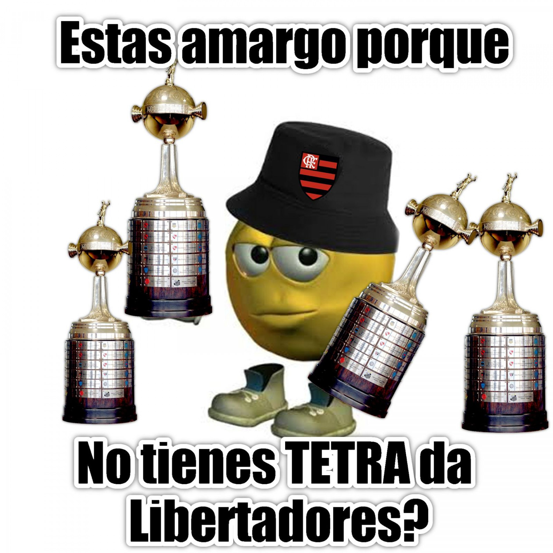 Torcedores do Flamengo também provocaram o Botafogo - Reprodução