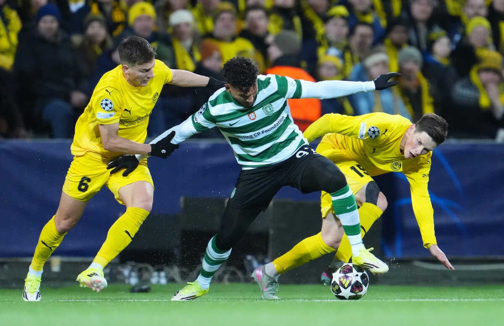 Bodo/Glimt surpreende, vence Sporting e fica perto de vaga na Champions