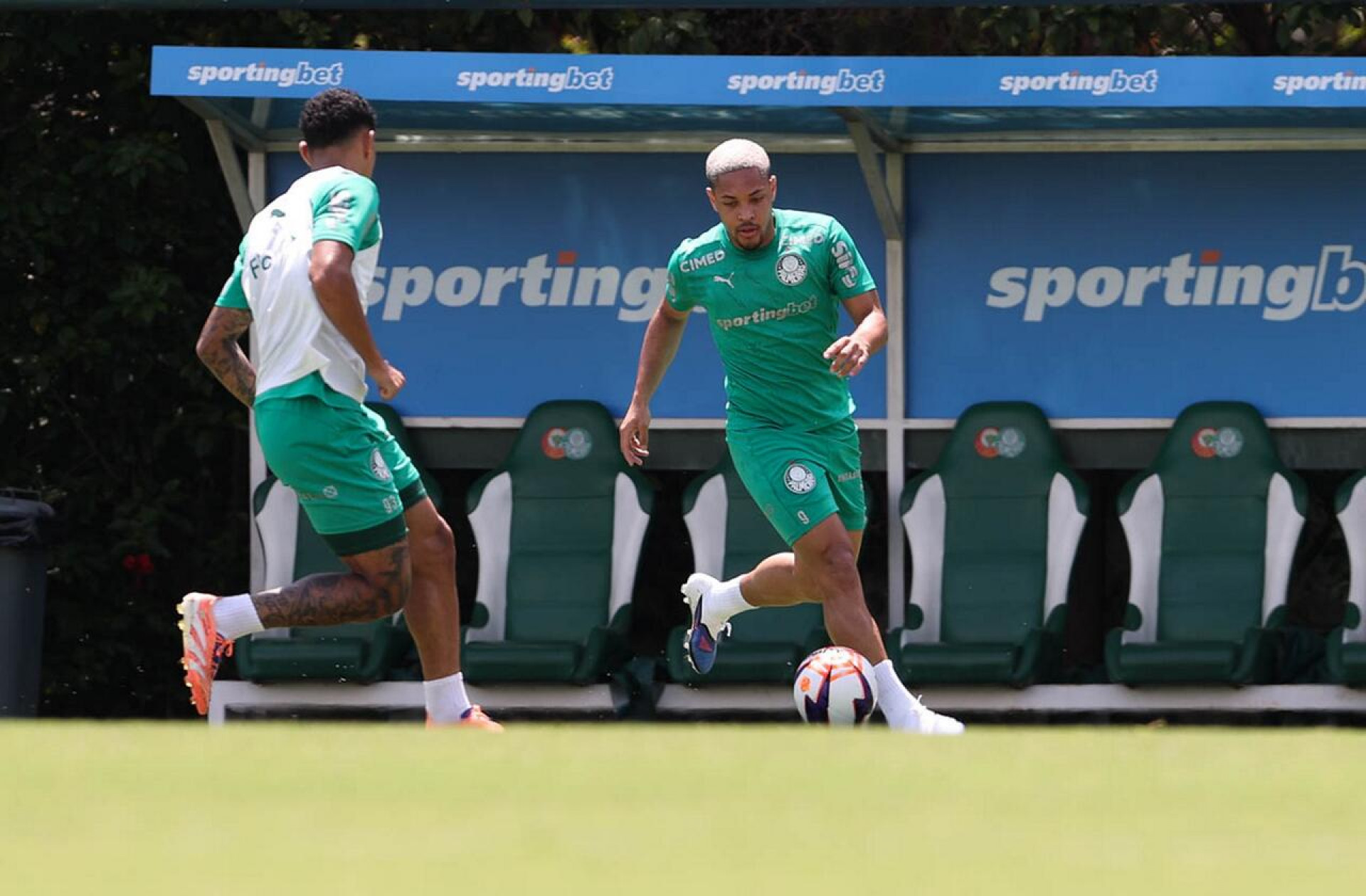 Vitor Roque pode ser poupado pelo Palmeiras antes de poss&iacute;vel convoca&ccedil;&atilde;o