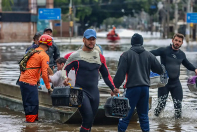 Lula sanciona lei que protege animais em desastres e emergências