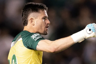 Confira goleiros que estão no radar para reforçar Botafogo