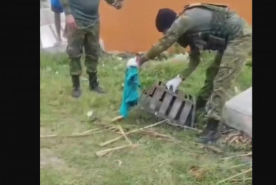 Jacaré-do-papo-amarelo é encontrado em Arraial do Cabo