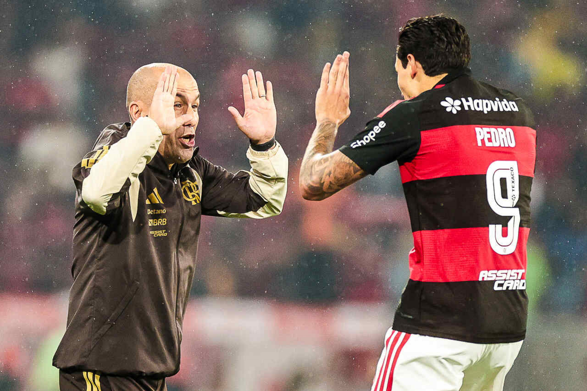 Agora no Flamengo, Jardim comenta reencontro com Cruzeiro
