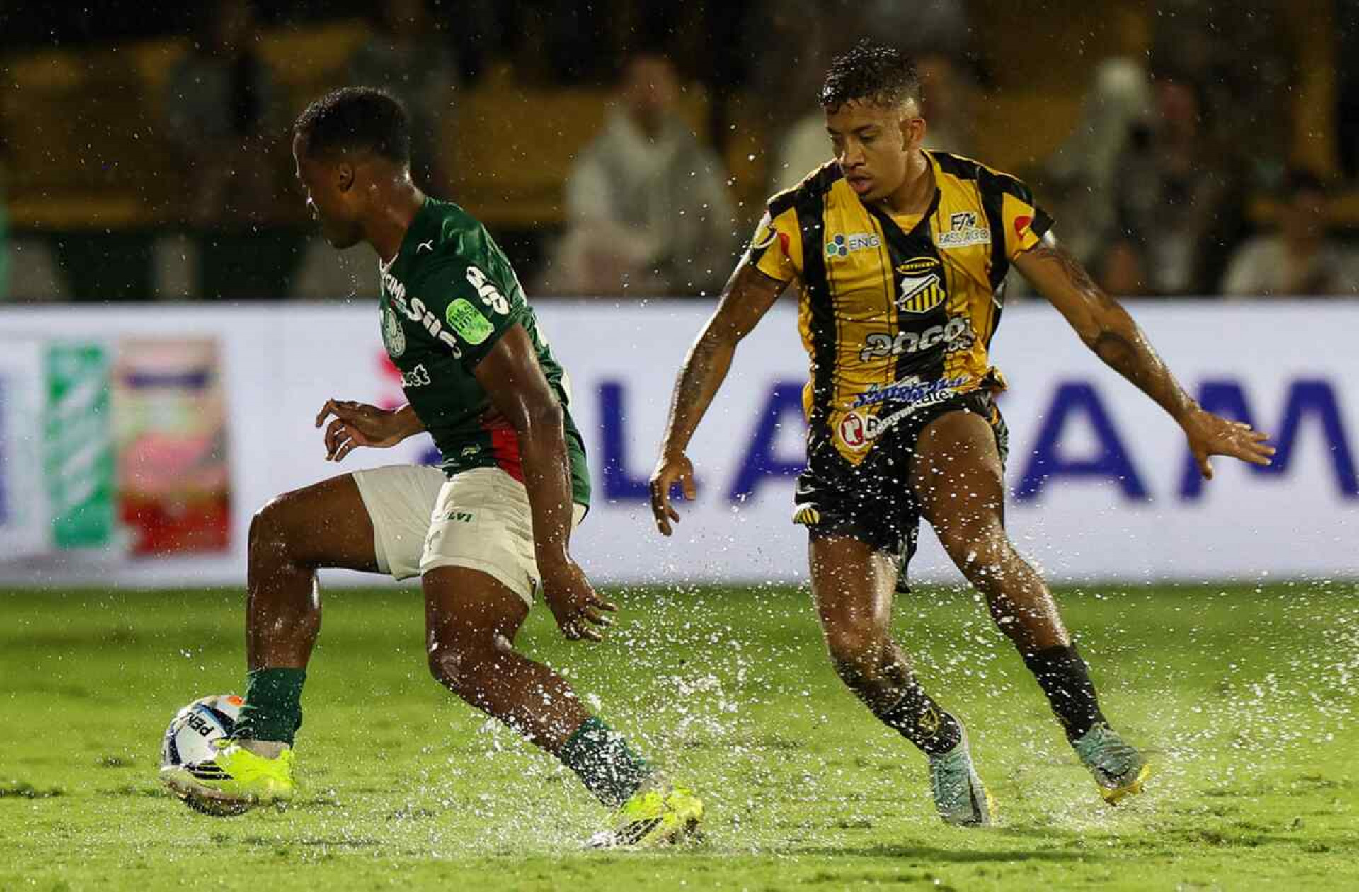 Ap&oacute;s primeiro t&iacute;tulo com o Palmeiras, Arias agora busca consolida&ccedil;&atilde;o