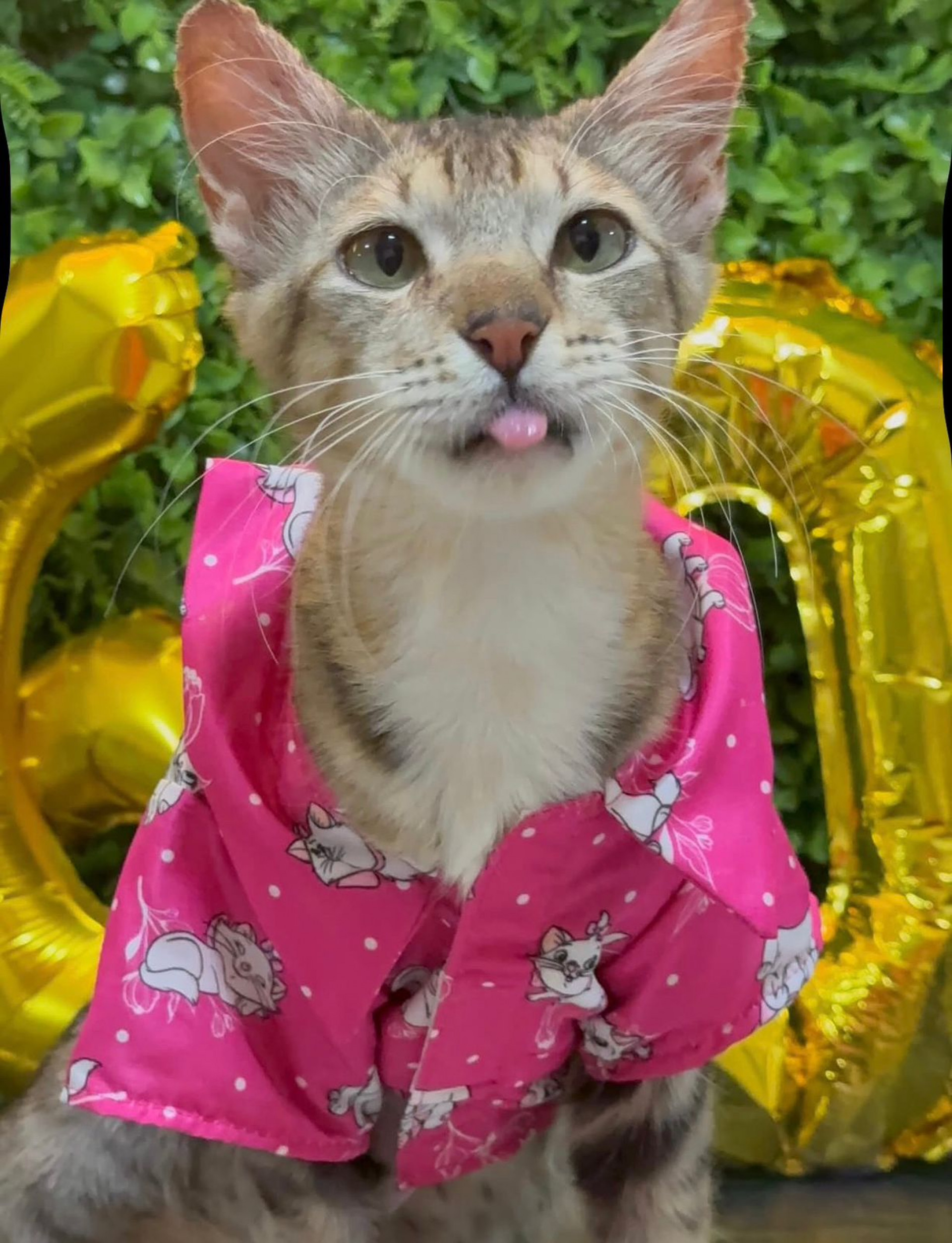 Renatinho passou por internação e intenso tratamento médico