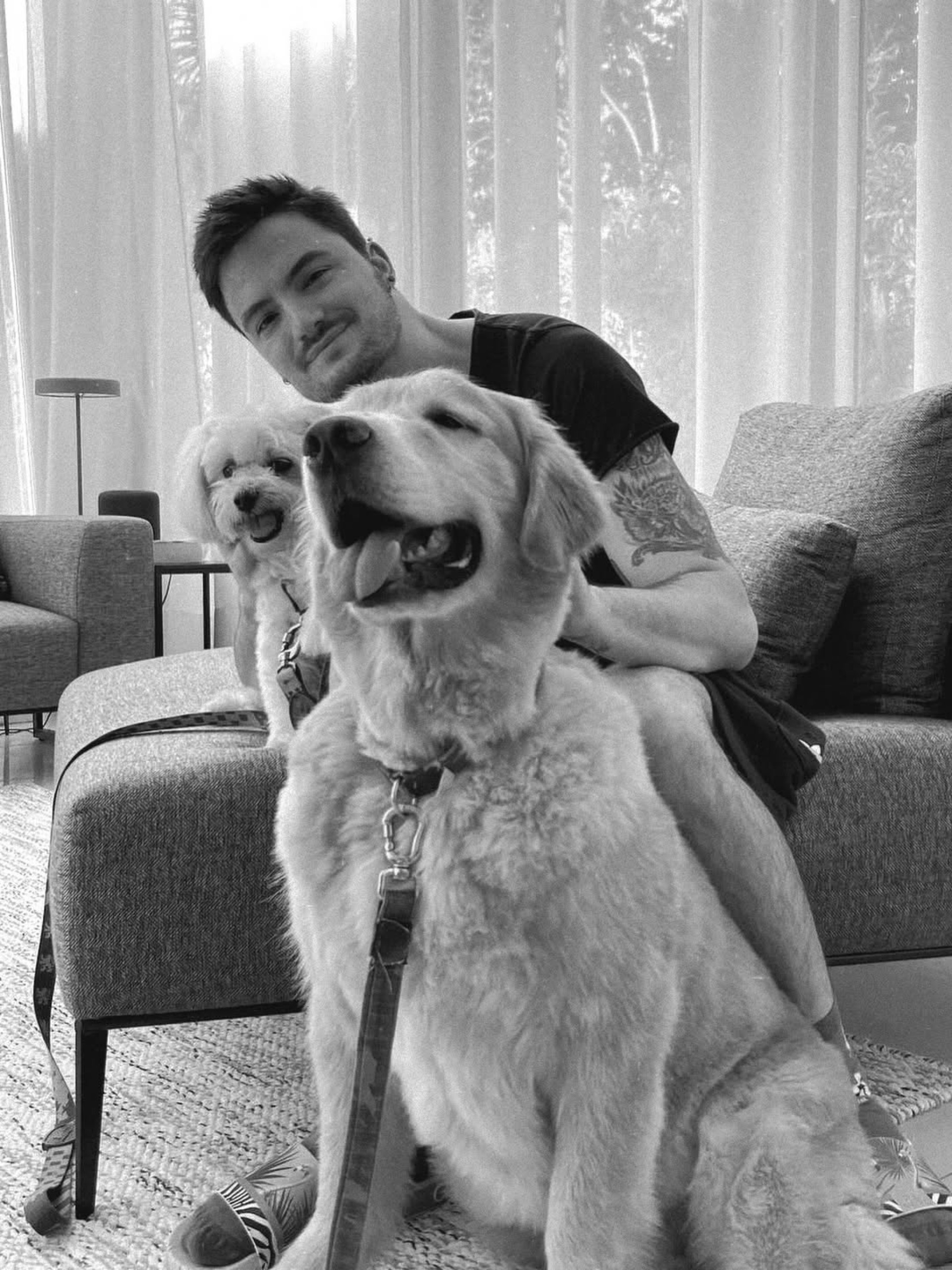 Felipe Neto lamenta morte do cachorro de estimação, Mike - Reprodução / Instagram