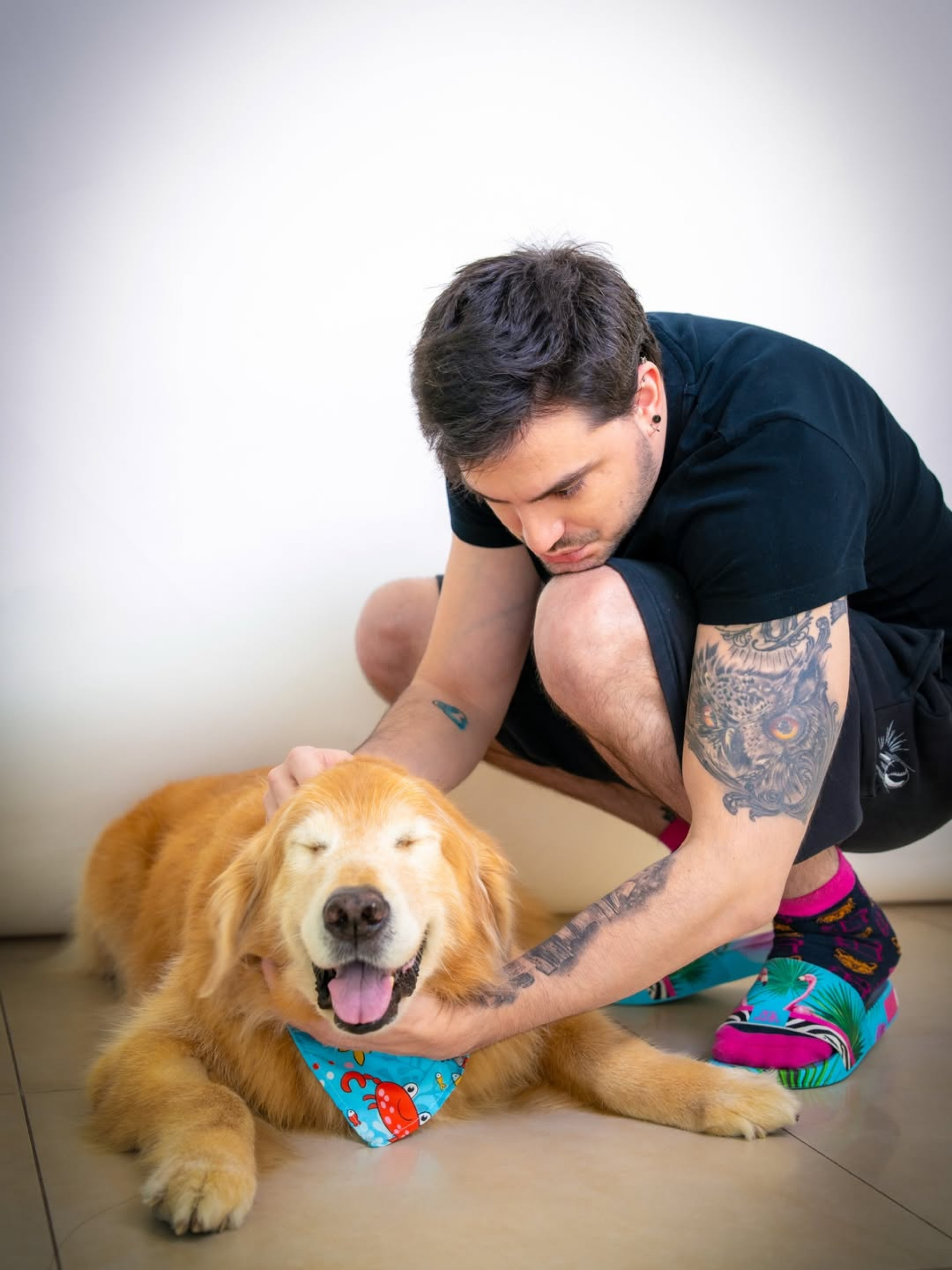 Felipe Neto lamenta morte do cachorro, Mike - Reprodução / Instagram