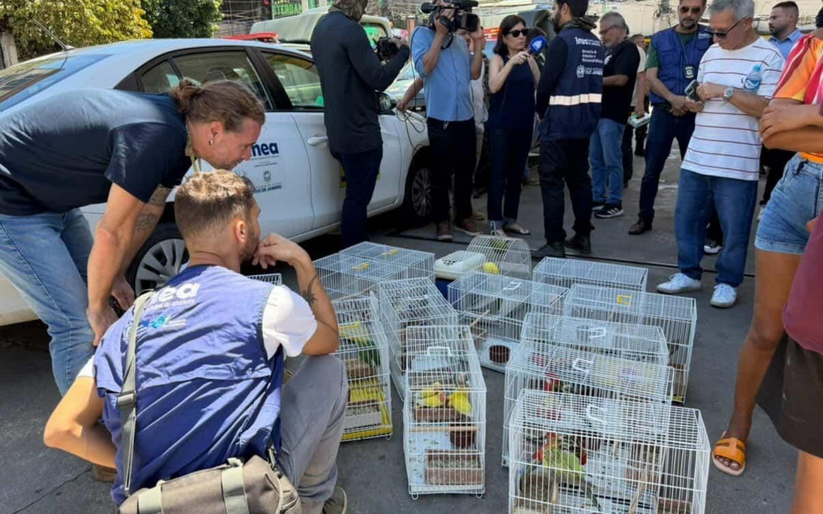 Agentes resgataram os animais em uma feira de rua, em Duque de Caxias