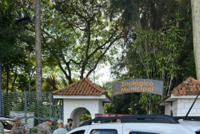 Homem invade zoológico no Rio Grande do Sul e mata veado