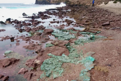 Rochas de plástico chegam a ninhos de tartarugas em ilha do Espírito Santo