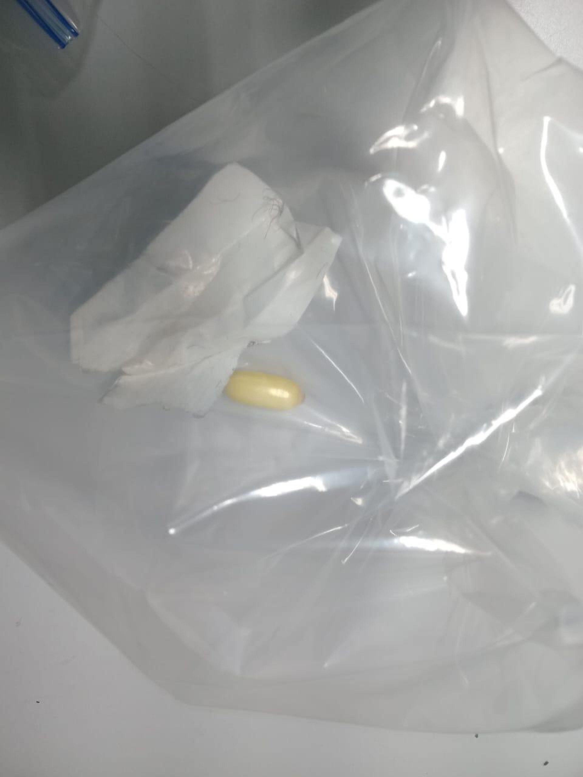 C&aacute;psula com droga expelida pelo preso