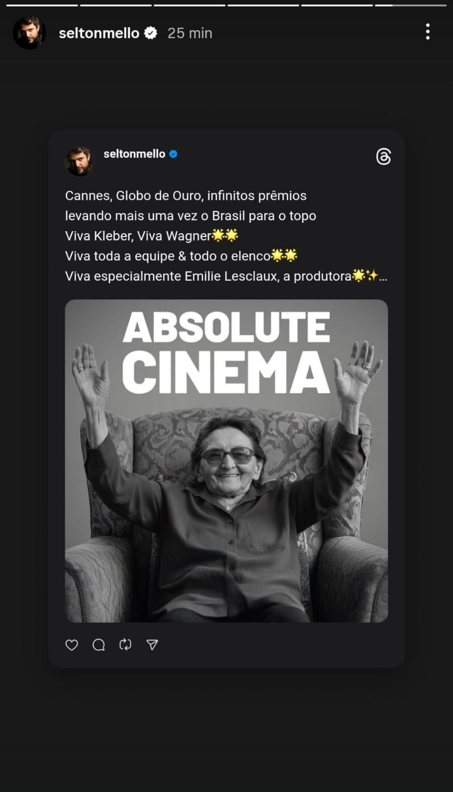 Selton Mello vibra com presença do Brasil no Oscar - Reprodução / Instagram