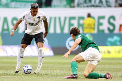 Botafogo defende sequência invicta diante do Palmeiras no Allianz Parque