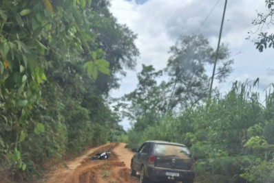 Homem morre após carro ser atacado por abelhas em estrada de MG